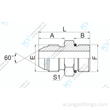 JIS GAS MALE/SAE MALE O-RING